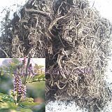 تفاله شیرین بیان تفاله شیرین بیان